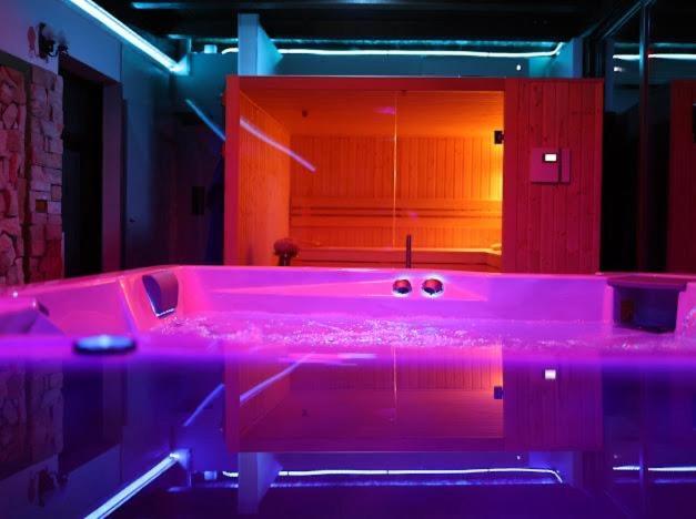 Hanu Lui Gica Spa Сату Маре Екстериор снимка